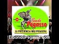 Los Cougars \"Mi Primera Ilusion\"