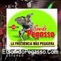 Los Cougars Mi Primera Ilusion
