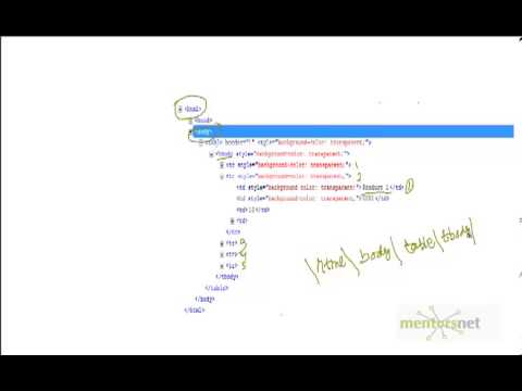 how to set xpath in selenium