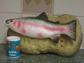 Singing fish torturing
