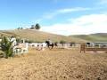 videos de gracie 1.MOV