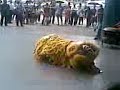 CNY lion dance at Jurong East Entertaiment Centre S\