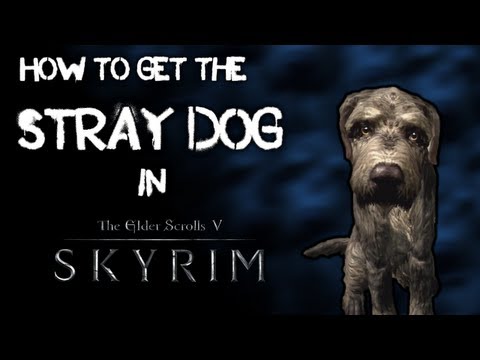 how to get a dog in skyrim