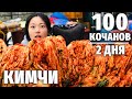 https://www.youtube.com/watch?v=iRzghn0Vts0