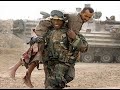 Dona nobis pacem .peace.stop war Iraq