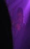 excerpt from the concert on november 30 2007 at... (more) 
added: december 06, 2007 
excerpt from the concert on november 30 2007 at the pauze festival from (k-raa-k)3. filmed by bert lezy (blaastaal)