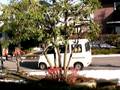 videos de Meet the Yaki Imo Man