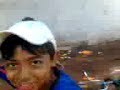 q tonbo