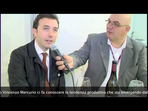 Immagine anteprima YouTube