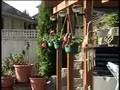 Back In Your Own Backyard