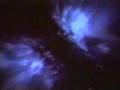 A-Flock-Of-Seagulls-