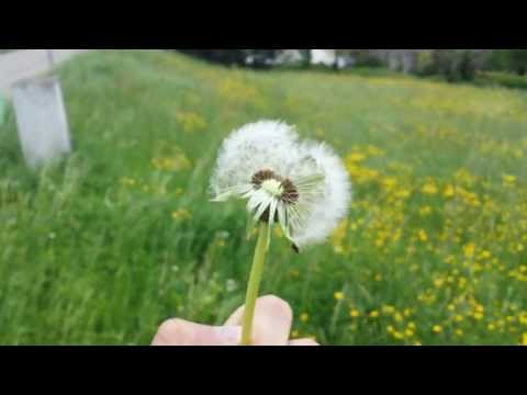 Samsung Galaxy S4 Full HD Video Samples (GT-I9505 Stock Android 4.2.2)