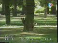 PERRO OVEJERO OLIENDO PARTES INTIMAS   Humor   Camara Oculta   Entretenimiento   Bromas   Graciosos   Portal de Noticias » Tecnología, Entretenimiento y Cultura