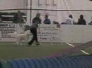 POTC NADAC Day 2