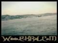 Tolga FUTACI - Usul Usul