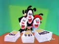 Animaniacs sigla italiana Animaniacs sigla italiana
