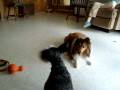 videos de Sadie and Cammy Playing