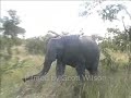 [Video]