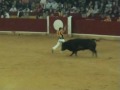 concurso de recortes de toros zaragoza el pilar (12-10-08) concurso de recortes de toros zaragoza el pilar (12-10-08)