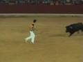 concurso de recortes de toros zaragoza el pilar (12-10-08)