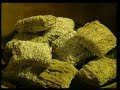 Sindirim Sistemi ( 2 )