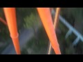 Six Flags Tatsu Rollercoaster Point Of View
