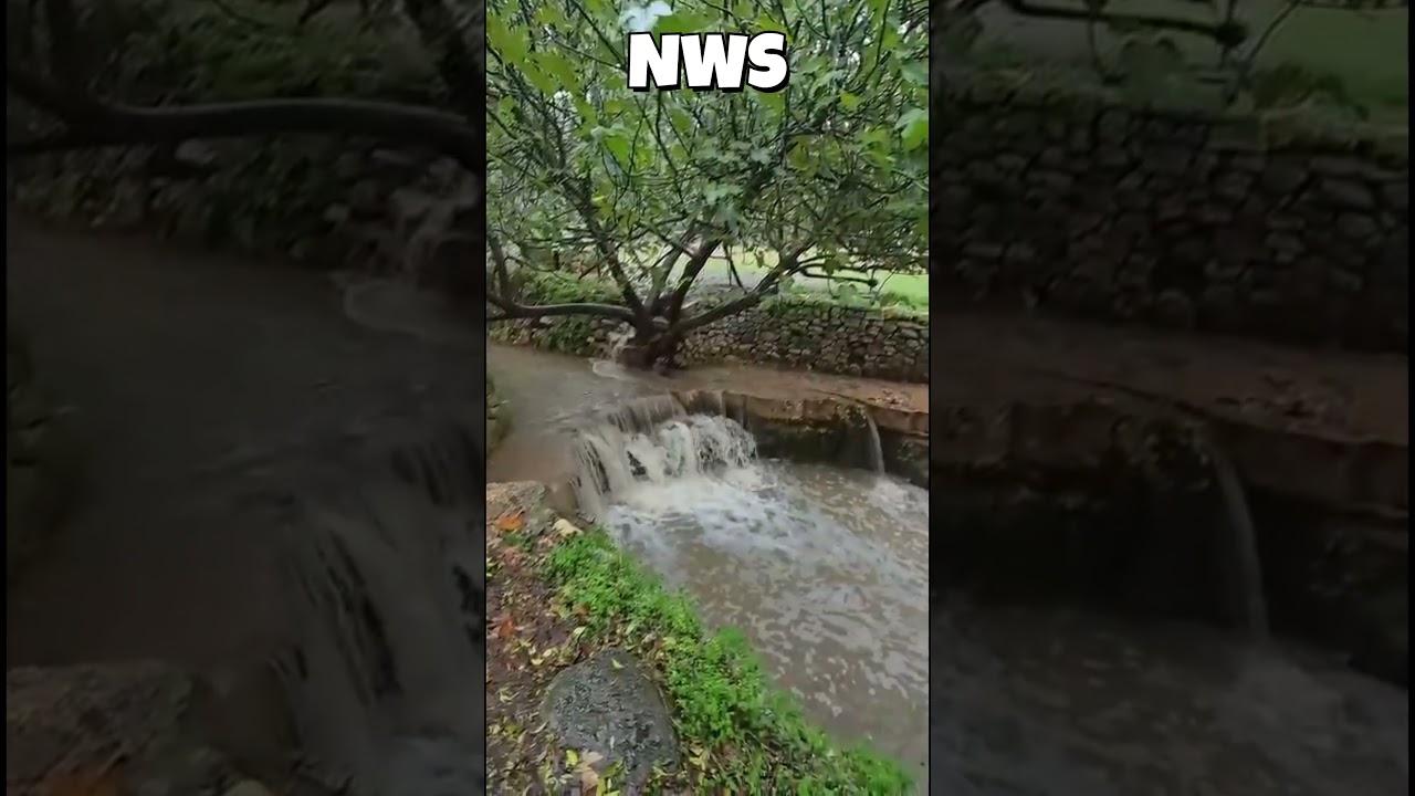 זרימה בשמורת עין חמד