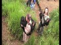Chimps are ticklish!