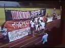 COLTS STUNT