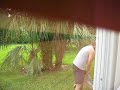 Zach Voyeur Zach Voyeur