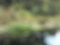 Thumbnail #1