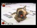 Fury Fight 5 GP SEMI-FINAL - Rousimar Toquinho x Fabio Negão