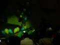 JCC Upward Bound 2008 Fashion | Rockstar |