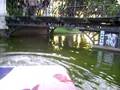 videos de Bosques de Palermo III