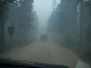 Aftermath of Cascade Fire in Camp Senia #2