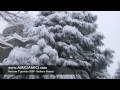 Nevicata in Val Taro e provincia di Parma - Bedonia (Parma) 7 Gennaio 2009