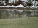 18 Mile Creek Iced Up