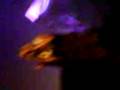 videos de Konzert 1