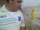 Belich & Bird