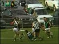 Narre V Doves Fight