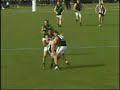 Narre V Doves Fight