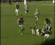 Narre V Doves Fight