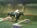 Dain A Wee Bounce :-))