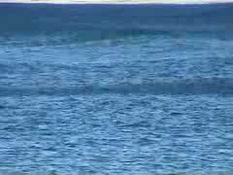 car values australia car values australia