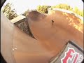 Bucky Lasek - This Is My Element Bucky Lasek - This Is My Element