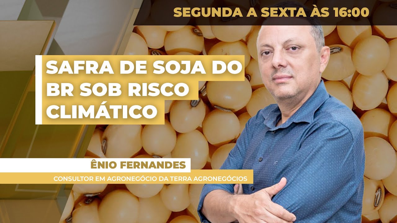 FECHAMENTO DE MERCADO DA SOJA - EDIÇÃO 03-12-2025
