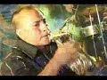Nueva Estrella - Me enamore de ti wWw.Gullit2008.Tk