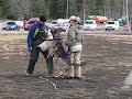 Elsa pelkk�� haukkumista