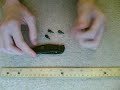 Kershaw Scallion 1620H3 Review