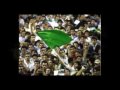 Mousavi in Hamedan, Islamshahr, Ardebil & Tabriz